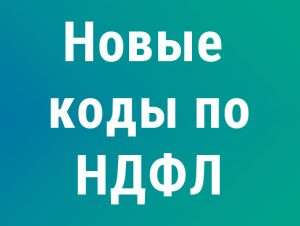 Подробнее о статье С 2026 года вводятся новые коды доходов и вычетов по НДФЛ приказ ФНС опубликован