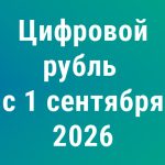Цифровой рубль с 1 сентября 2026 года: как бизнесу подготовить бухгалтерию